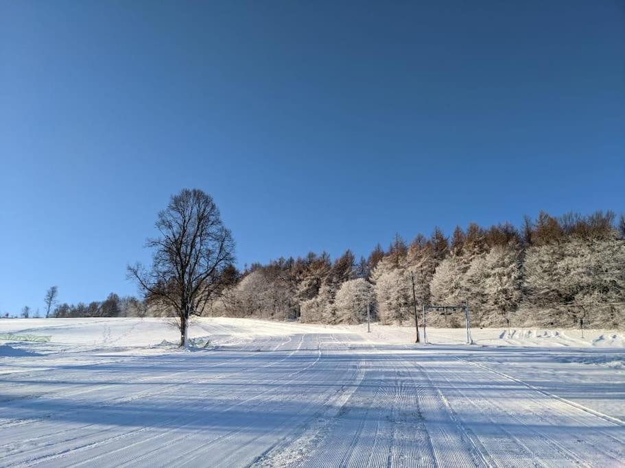 Appartamento Bienenstock Seiffen Esterno foto